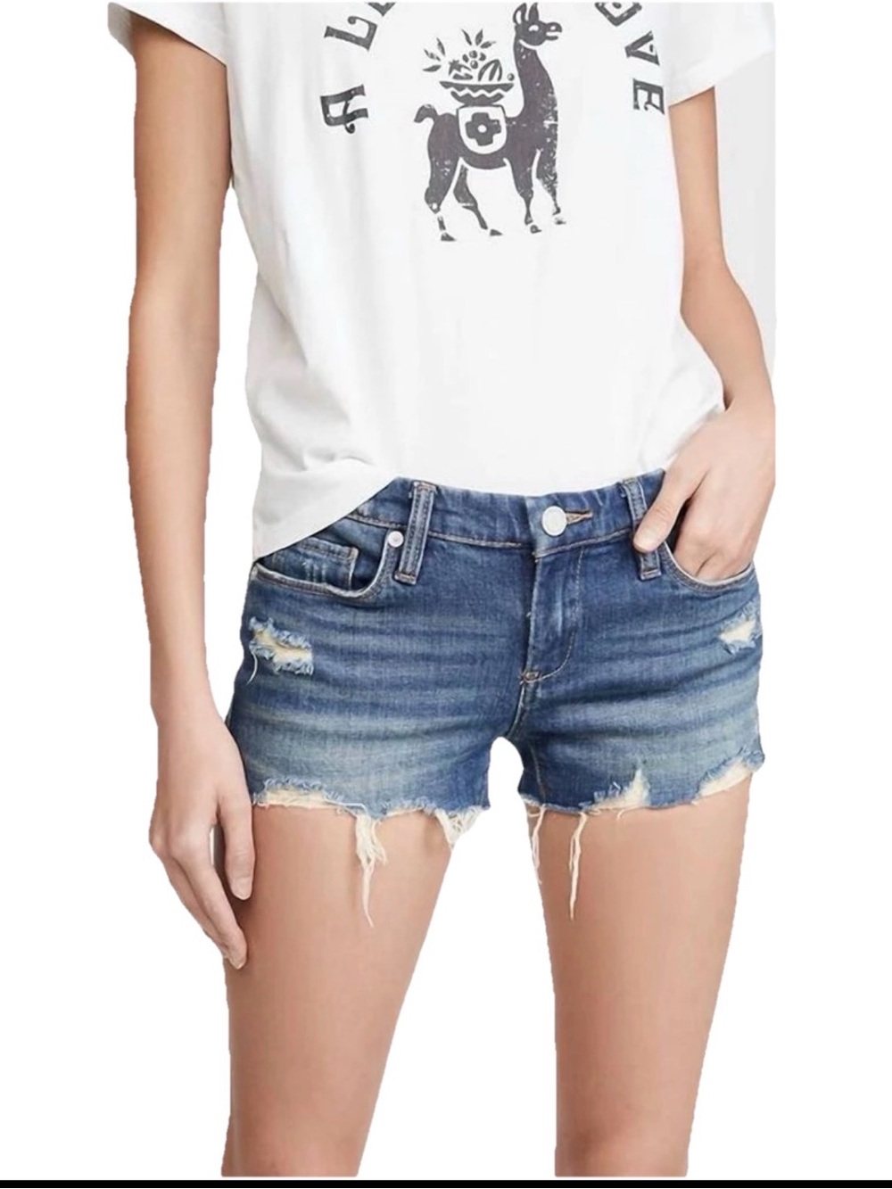 Blank NYCWomen’s Blanknyc - The astor raw hem deinm shorts in shake it out Sz 29